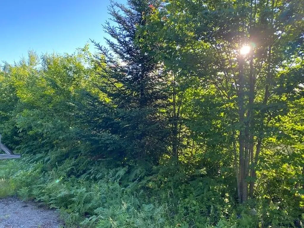 3 Fieldstone Road Gorham NH 03581