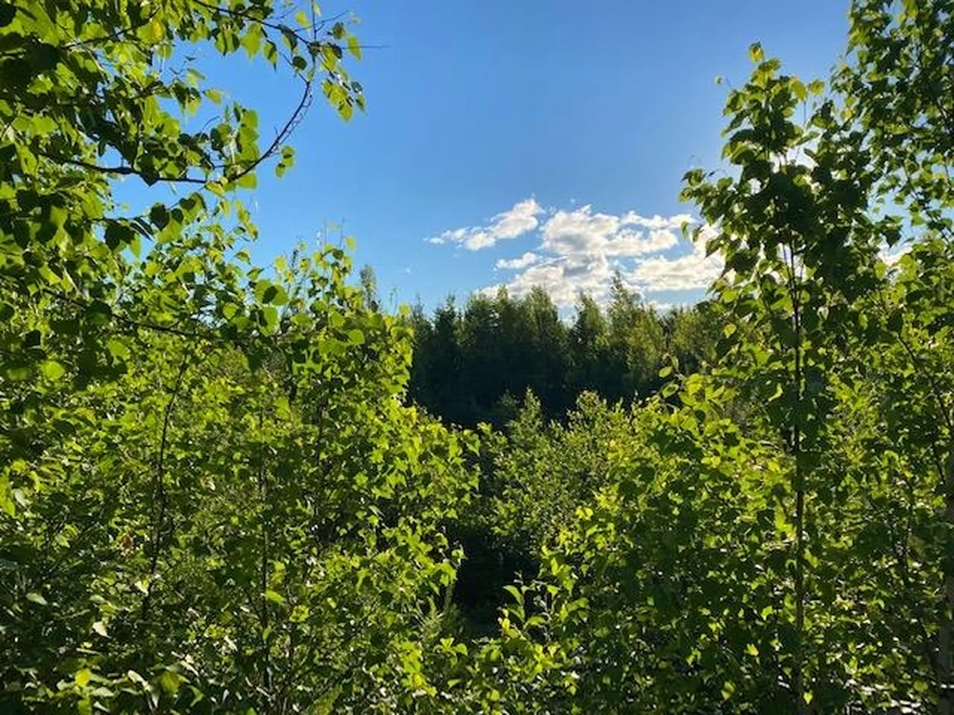 3 Fieldstone Road Gorham NH 03581