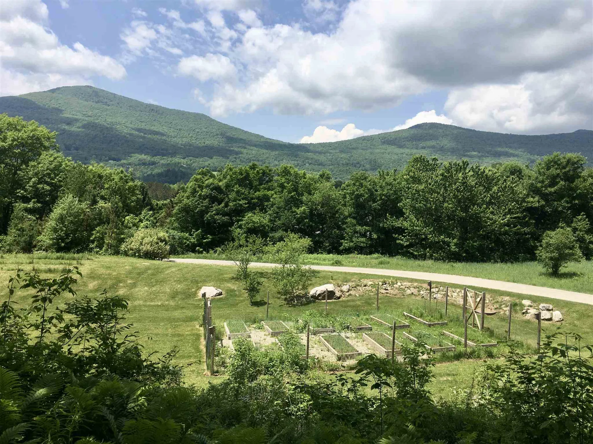 168 Luge Run Dorset VT 05253