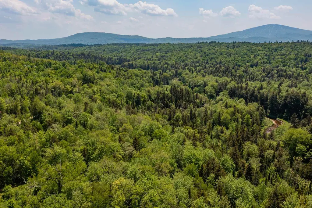 French Hollow Road Winhall VT 05340