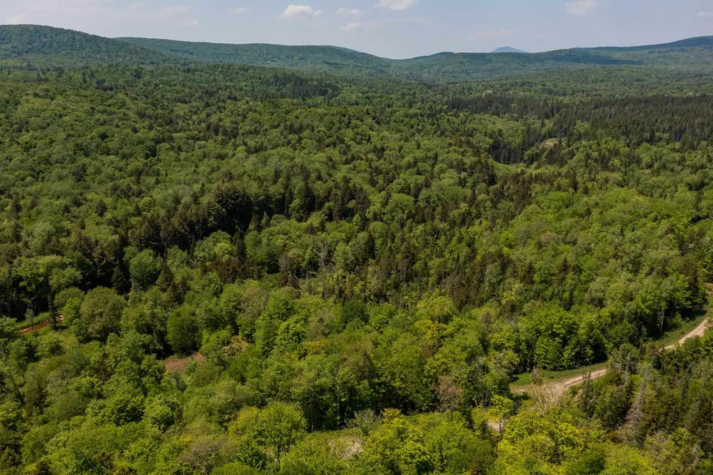 French Hollow Road Winhall VT 05340