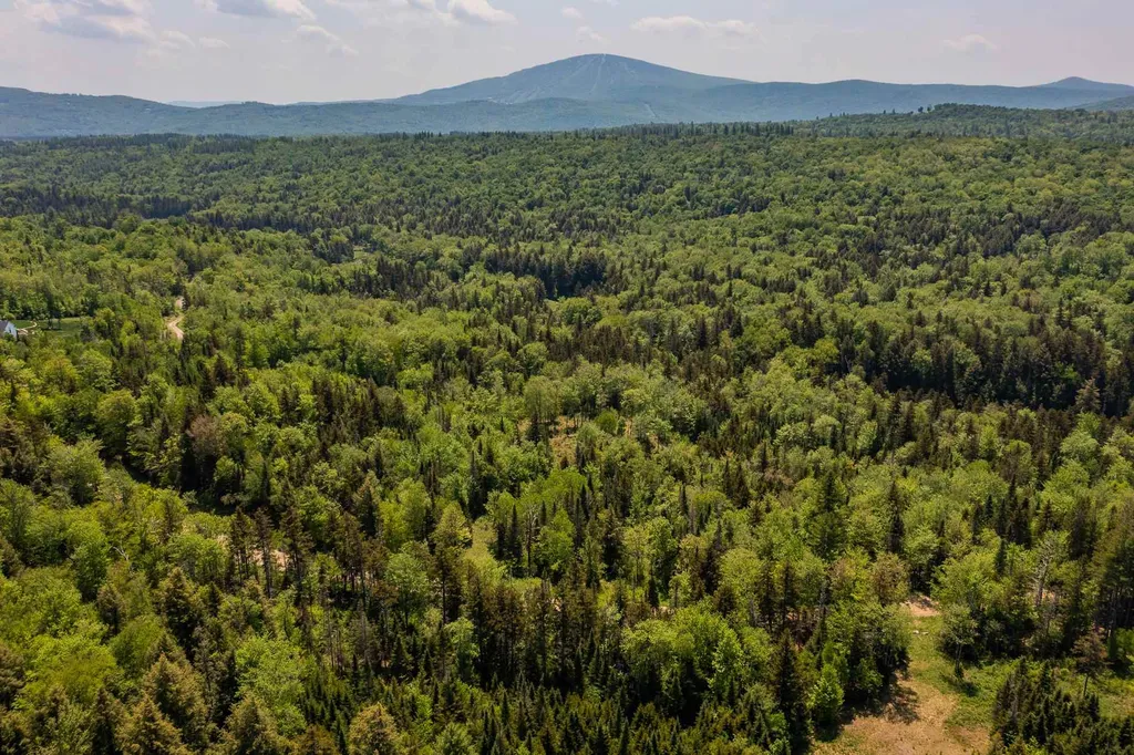French Hollow Road Winhall VT 05340