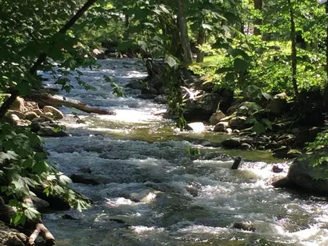 Rochester VT 05767