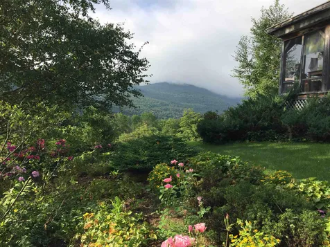Rochester VT 05767