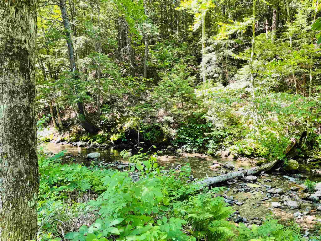 82 Camp Road Plainfield NH 03781