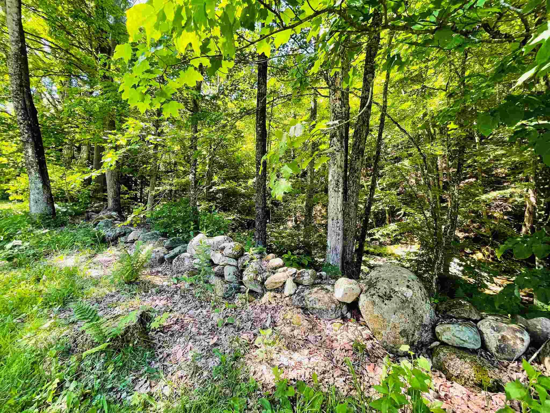 82 Camp Road Plainfield NH 03781