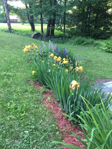 250 E Deering Road Deering NH 03244