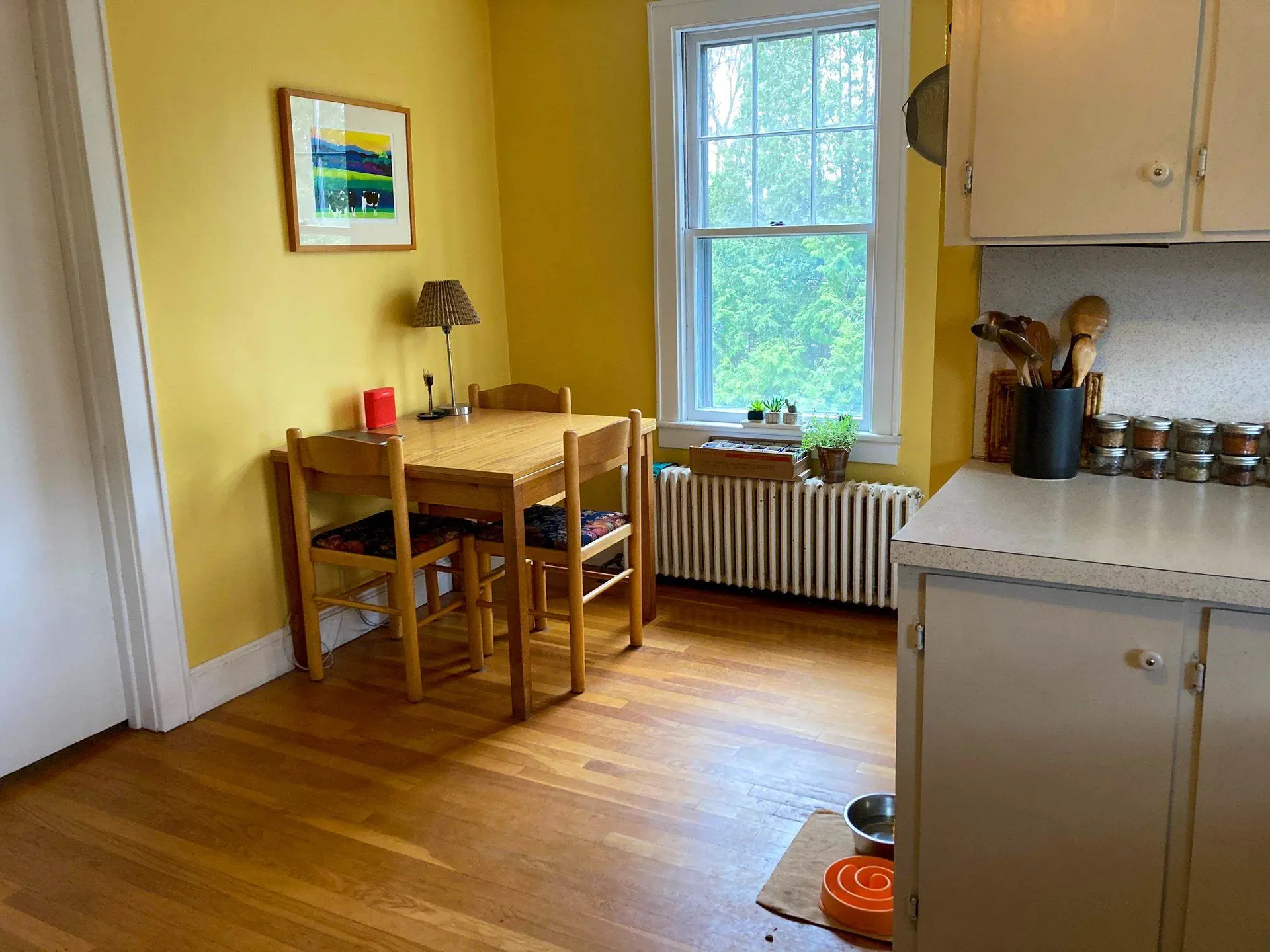 6 Dion Street Winooski VT 05404
