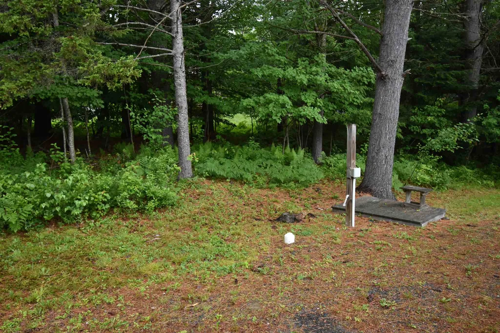 339 Jones Hill Canaan NH 03748-1