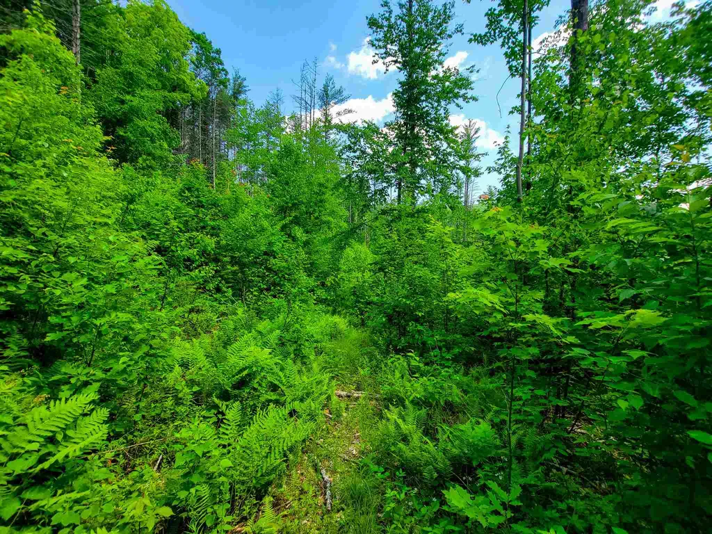 330 East Green Mountain Road Claremont NH 03743