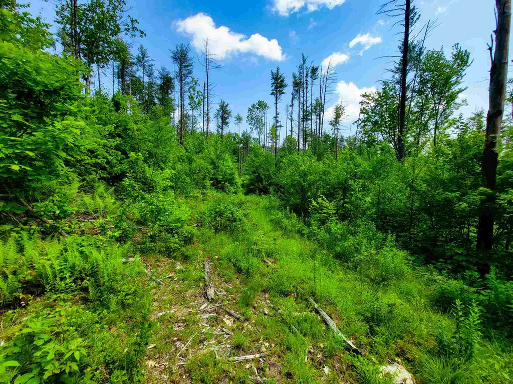 330 East Green Mountain Road Claremont NH 03743