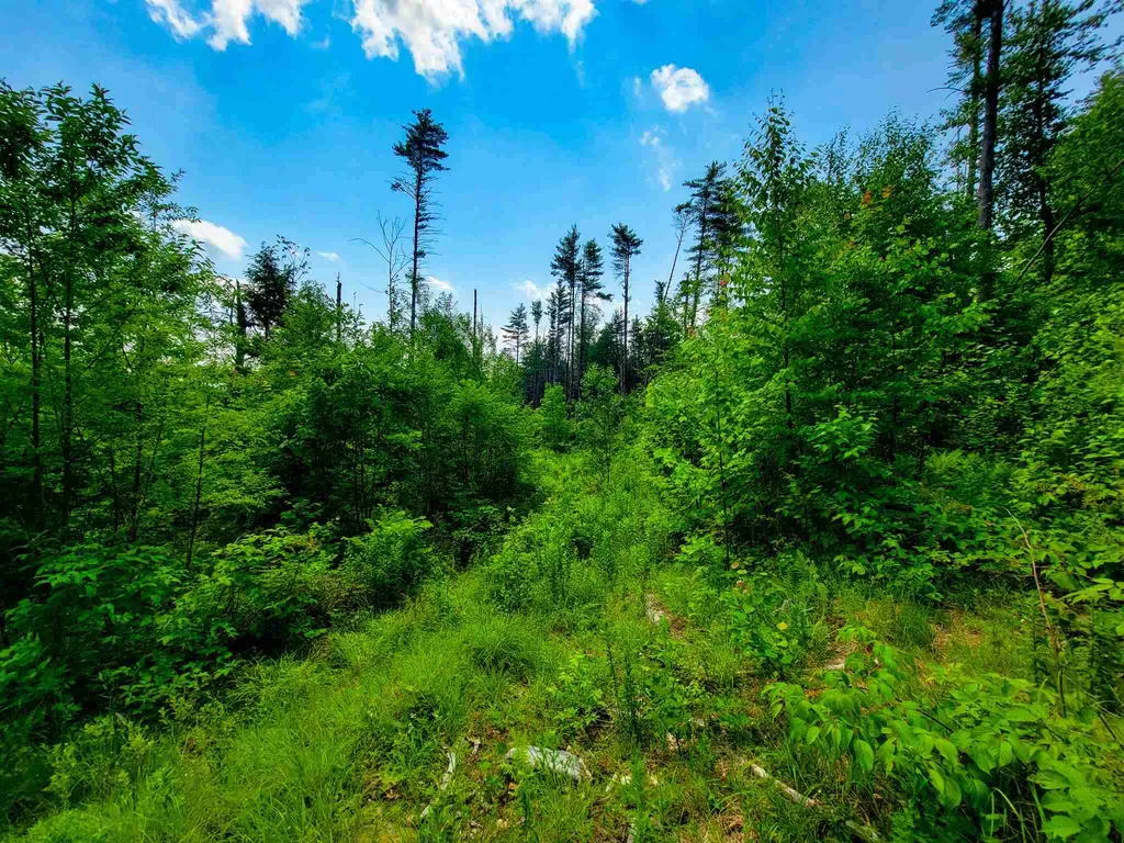 330 East Green Mountain Road Claremont NH 03743