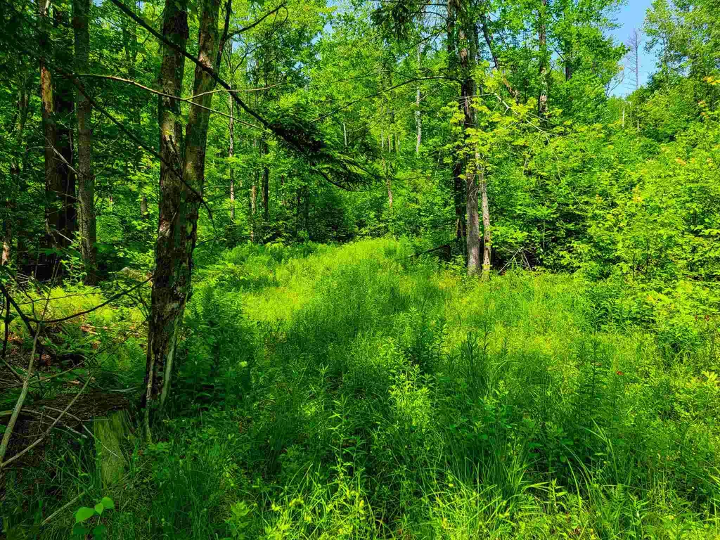 330 East Green Mountain Road Claremont NH 03743
