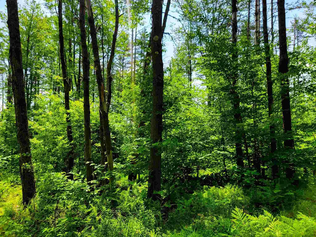 330 East Green Mountain Road Claremont NH 03743