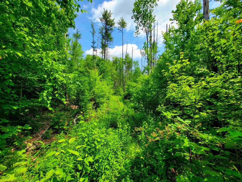330 East Green Mountain Road Claremont NH 03743