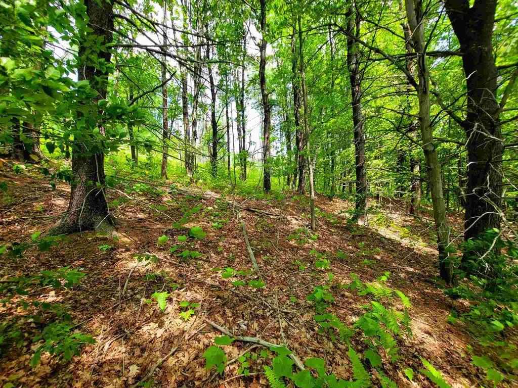 330 East Green Mountain Road Claremont NH 03743