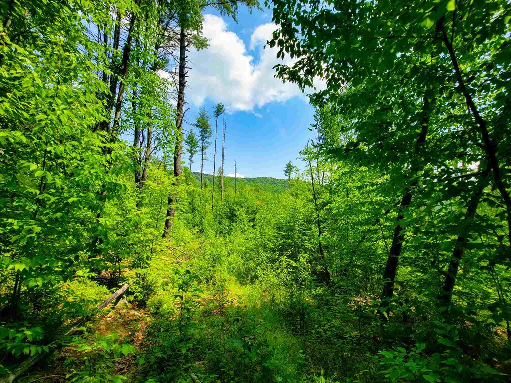 330 East Green Mountain Road Claremont NH 03743
