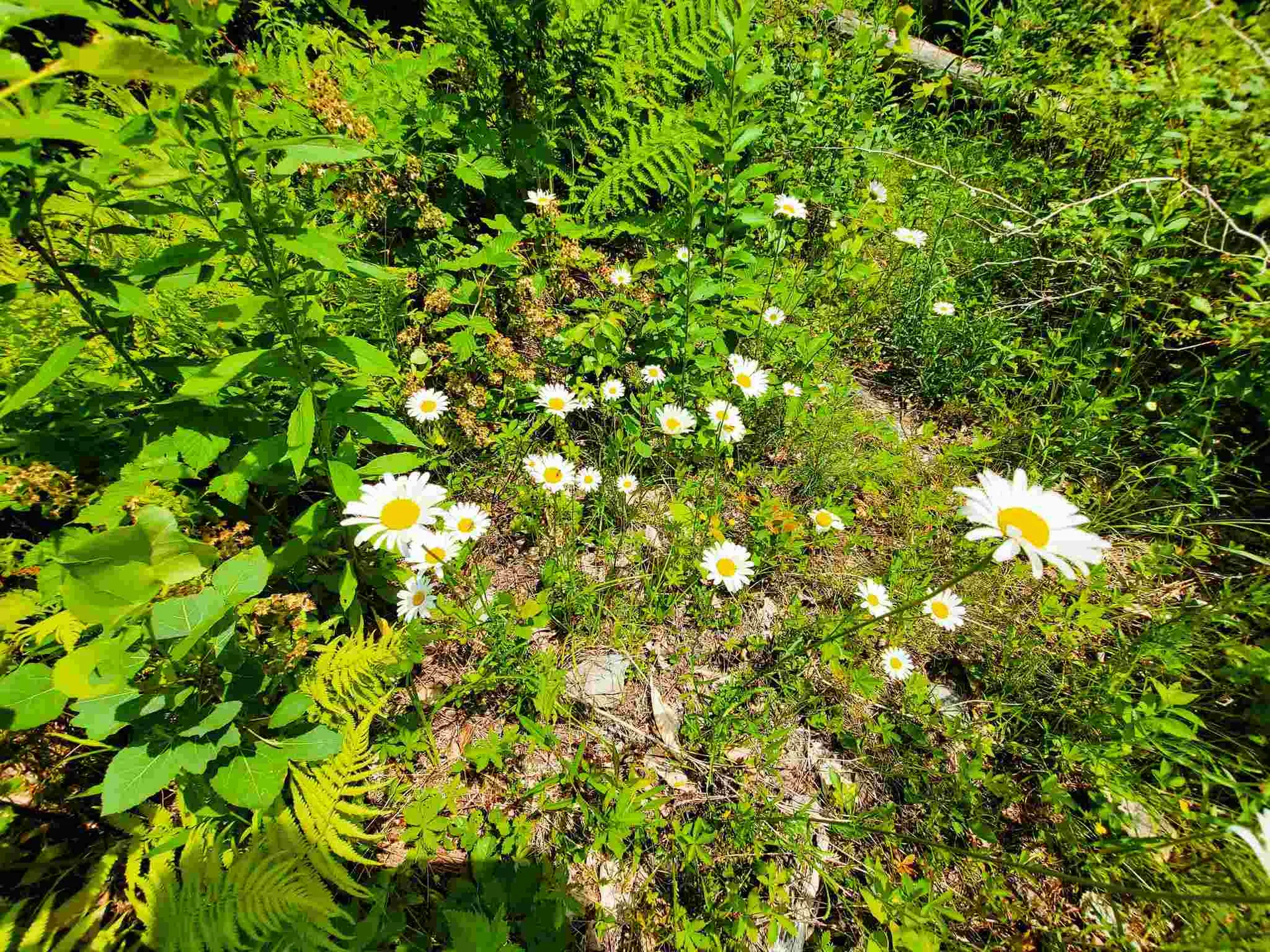 330 East Green Mountain Road Claremont NH 03743