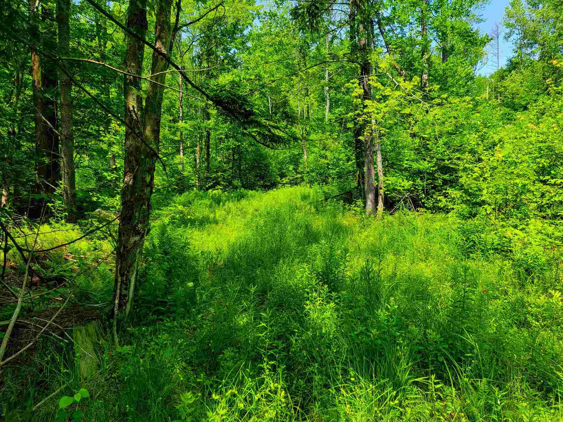 330 East Green Mountain Road Claremont NH 03743