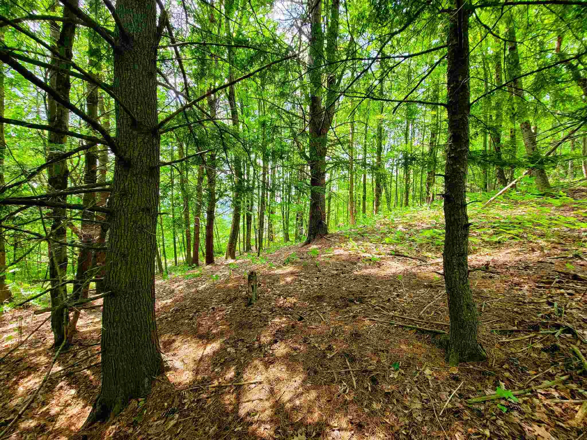 330 East Green Mountain Road Claremont NH 03743