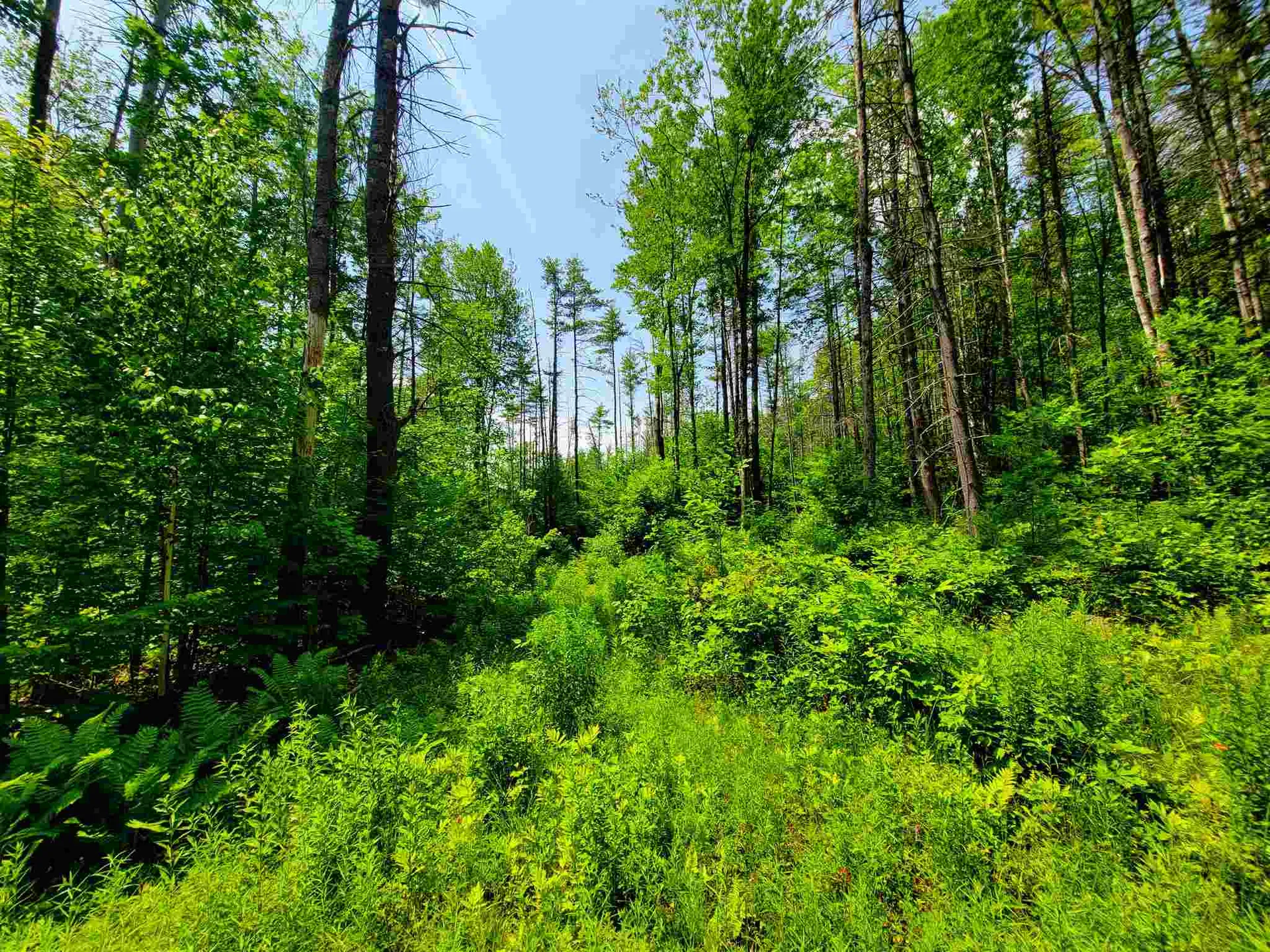 330 East Green Mountain Road Claremont NH 03743