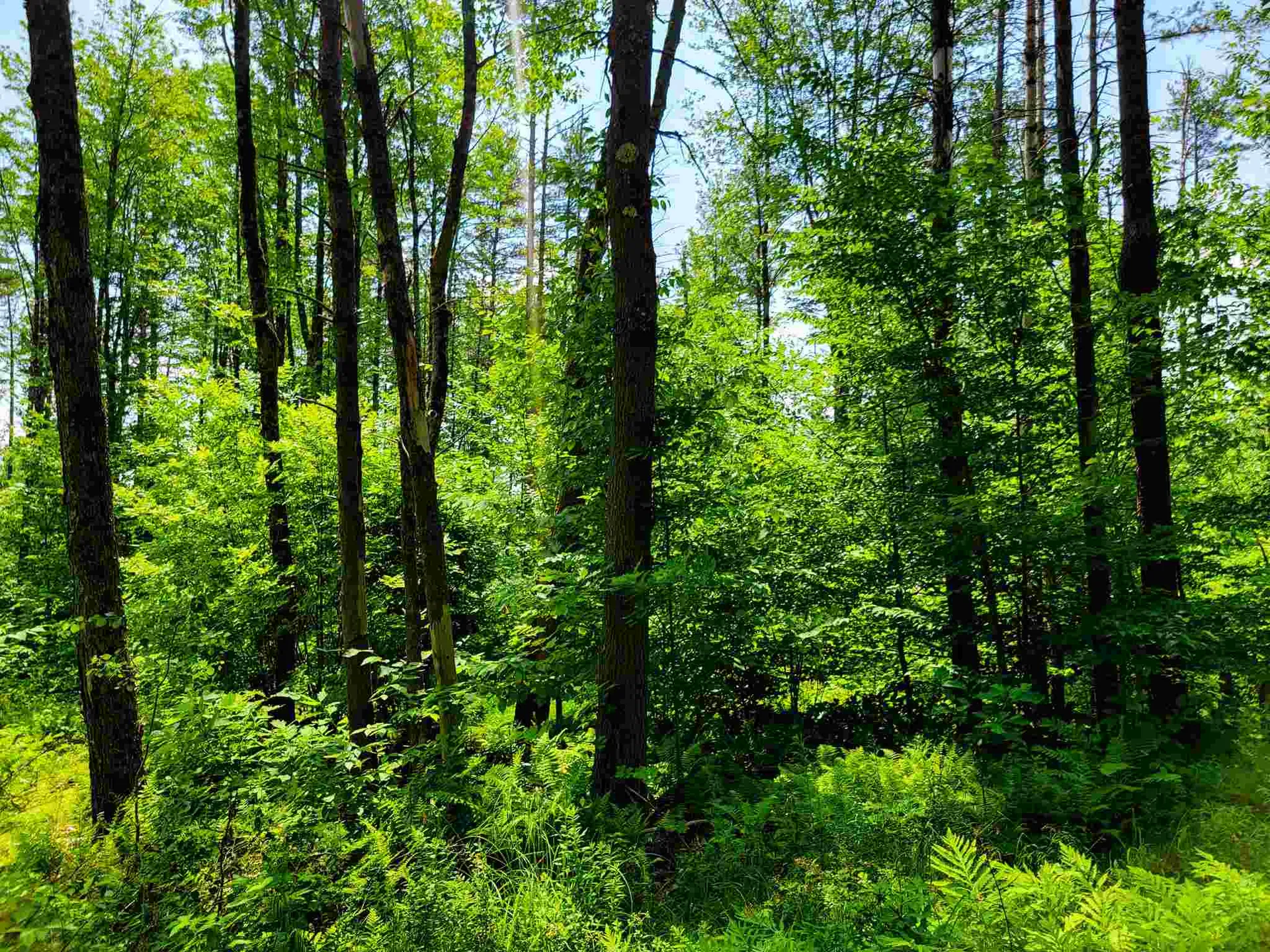 330 East Green Mountain Road Claremont NH 03743