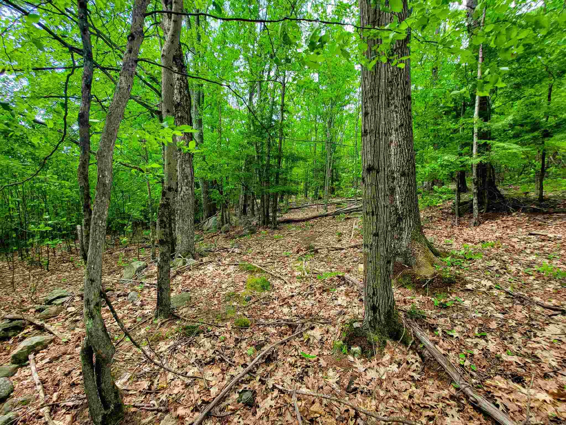 330 East Green Mountain Road Claremont NH 03743