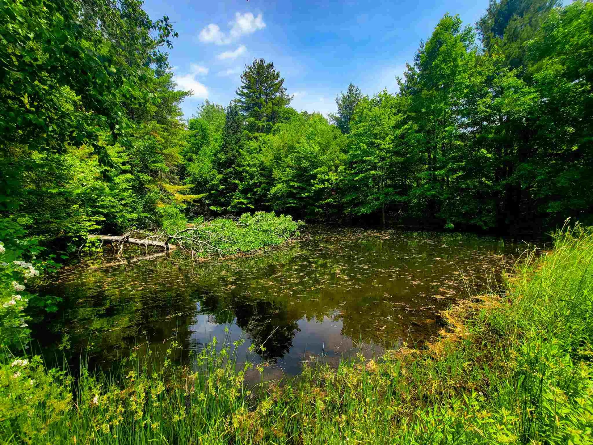 330 East Green Mountain Road Claremont NH 03743