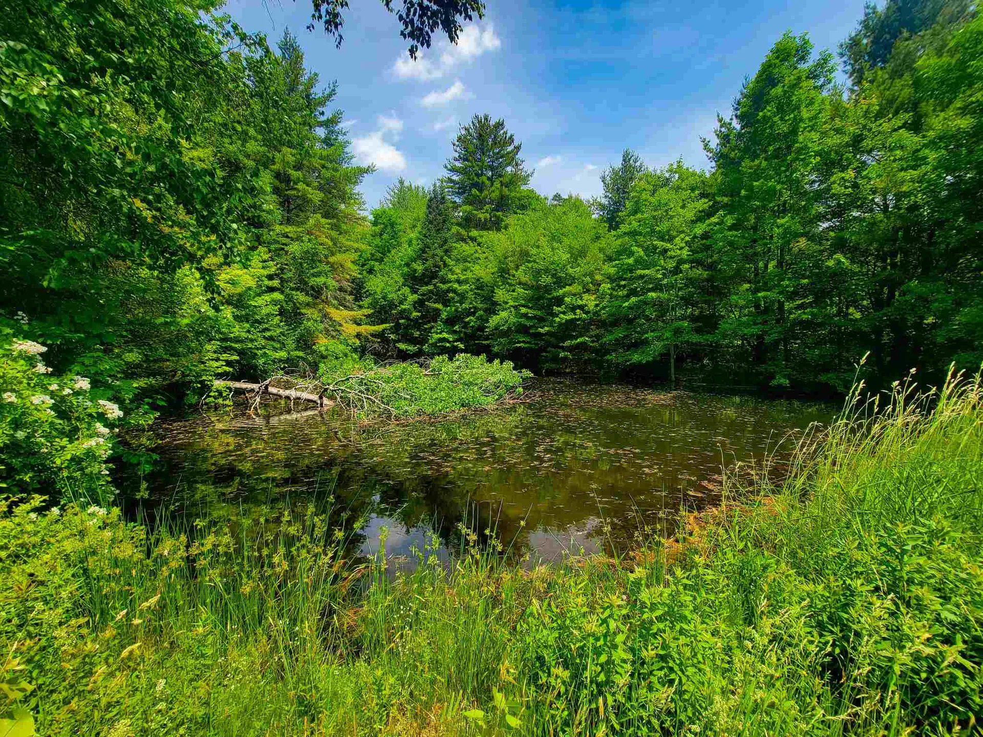 330 East Green Mountain Road Claremont NH 03743