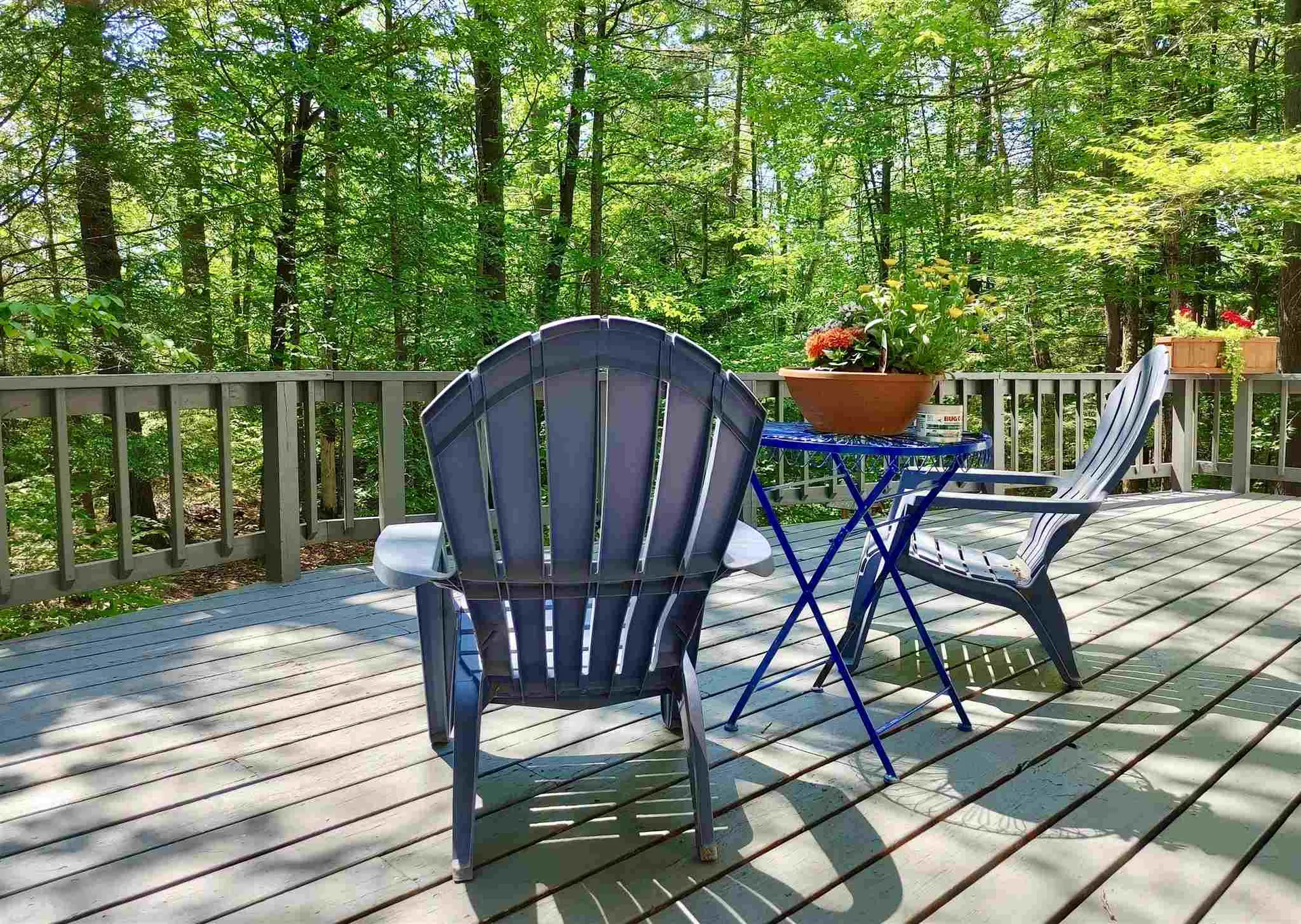 54 Jewell Road Wilmot NH 03287