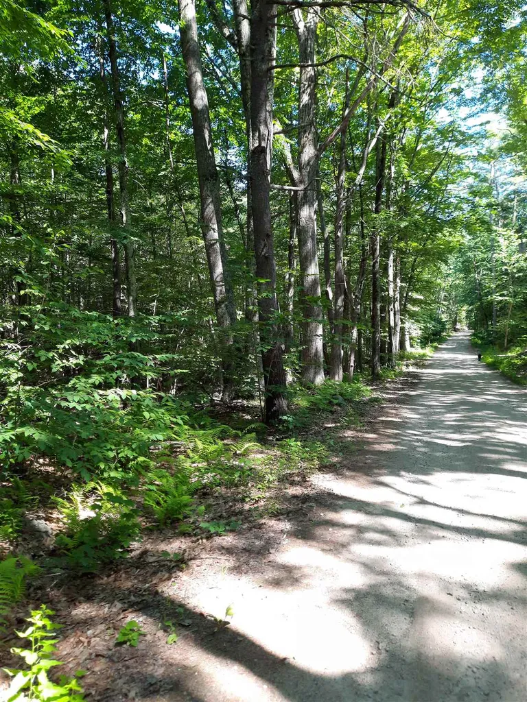 Lot 20 Orchard Hill Road Barrington NH 03825