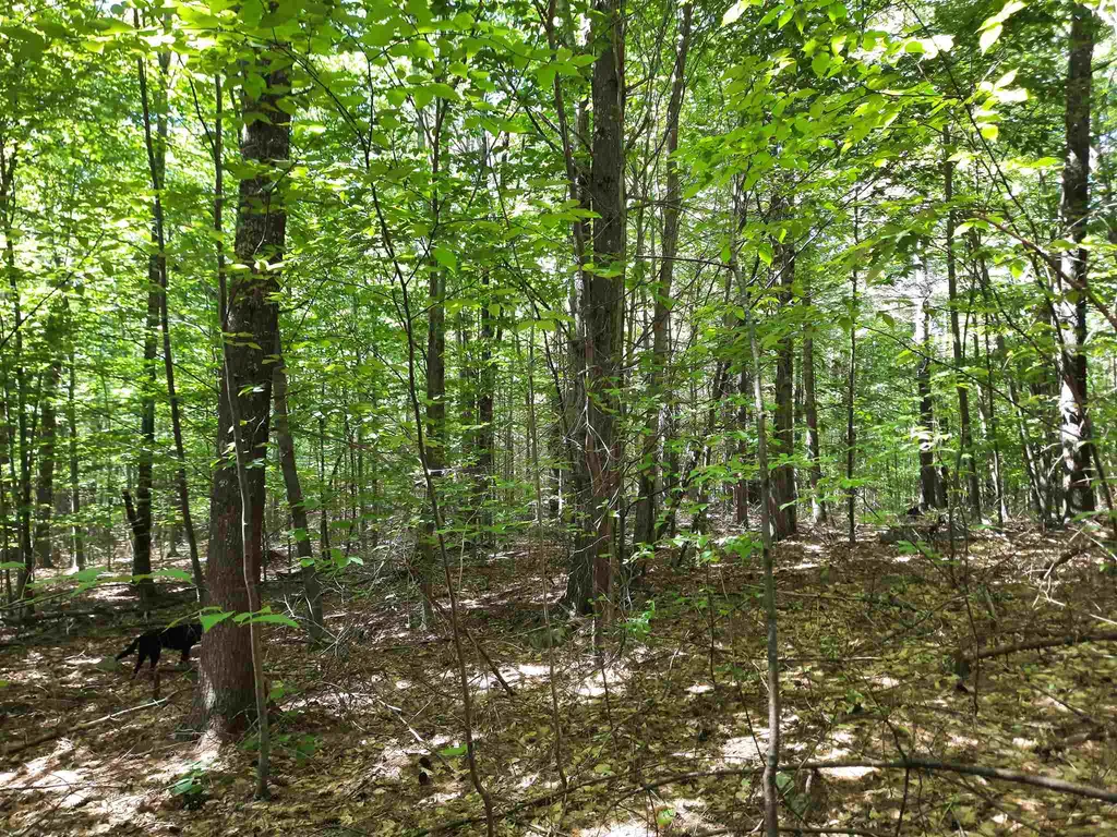 Lot 20 Orchard Hill Road Barrington NH 03825