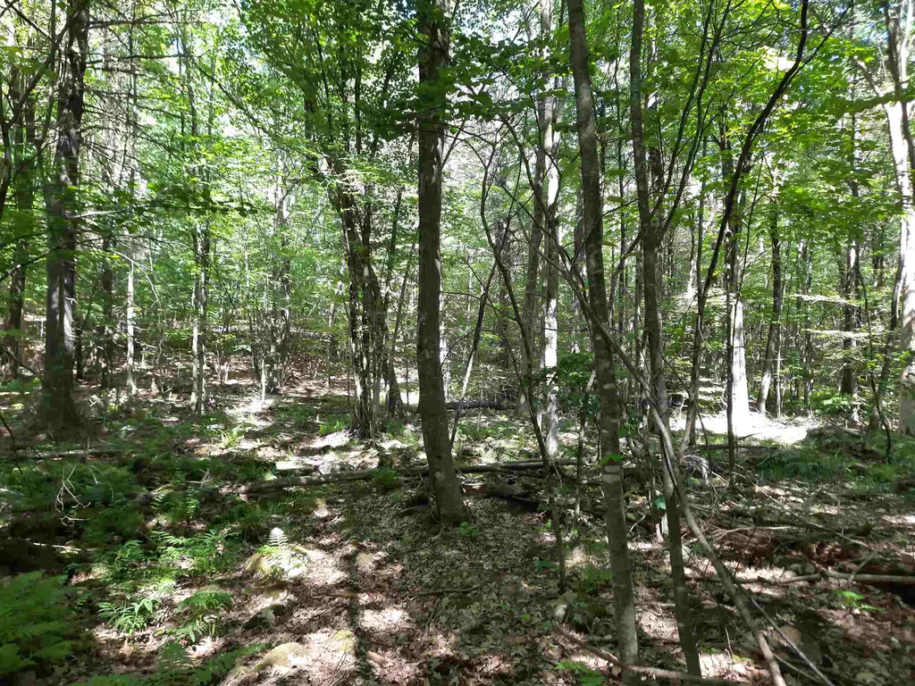 Lot 20 Orchard Hill Road Barrington NH 03825