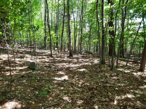 Lot 20 Orchard Hill Road Barrington NH 03825