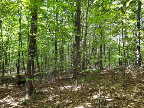 Lot 20 Orchard Hill Road Barrington NH 03825