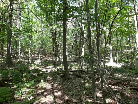 Lot 20 Orchard Hill Road Barrington NH 03825