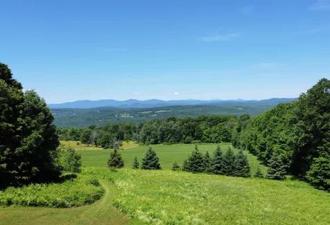 267 Thistle Hill Road Cabot VT 05647