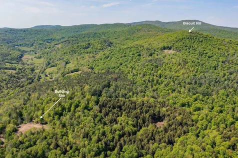00 Biscuit Hill Woodstock VT 05091