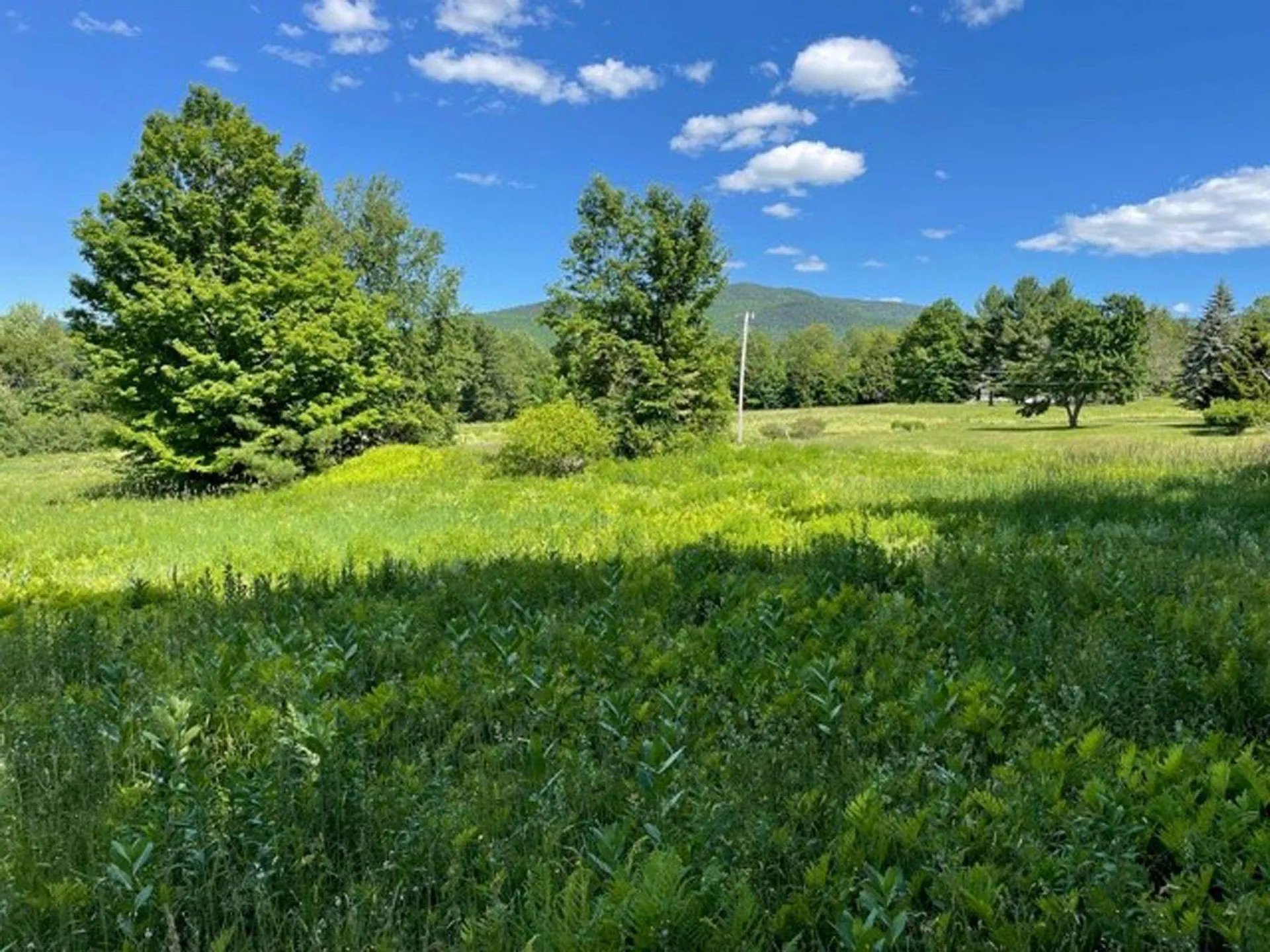 00 Sugarhouse Lane Waitsfield VT 05673