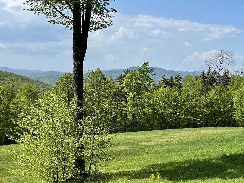00 Baldy View Woodstock VT 05091