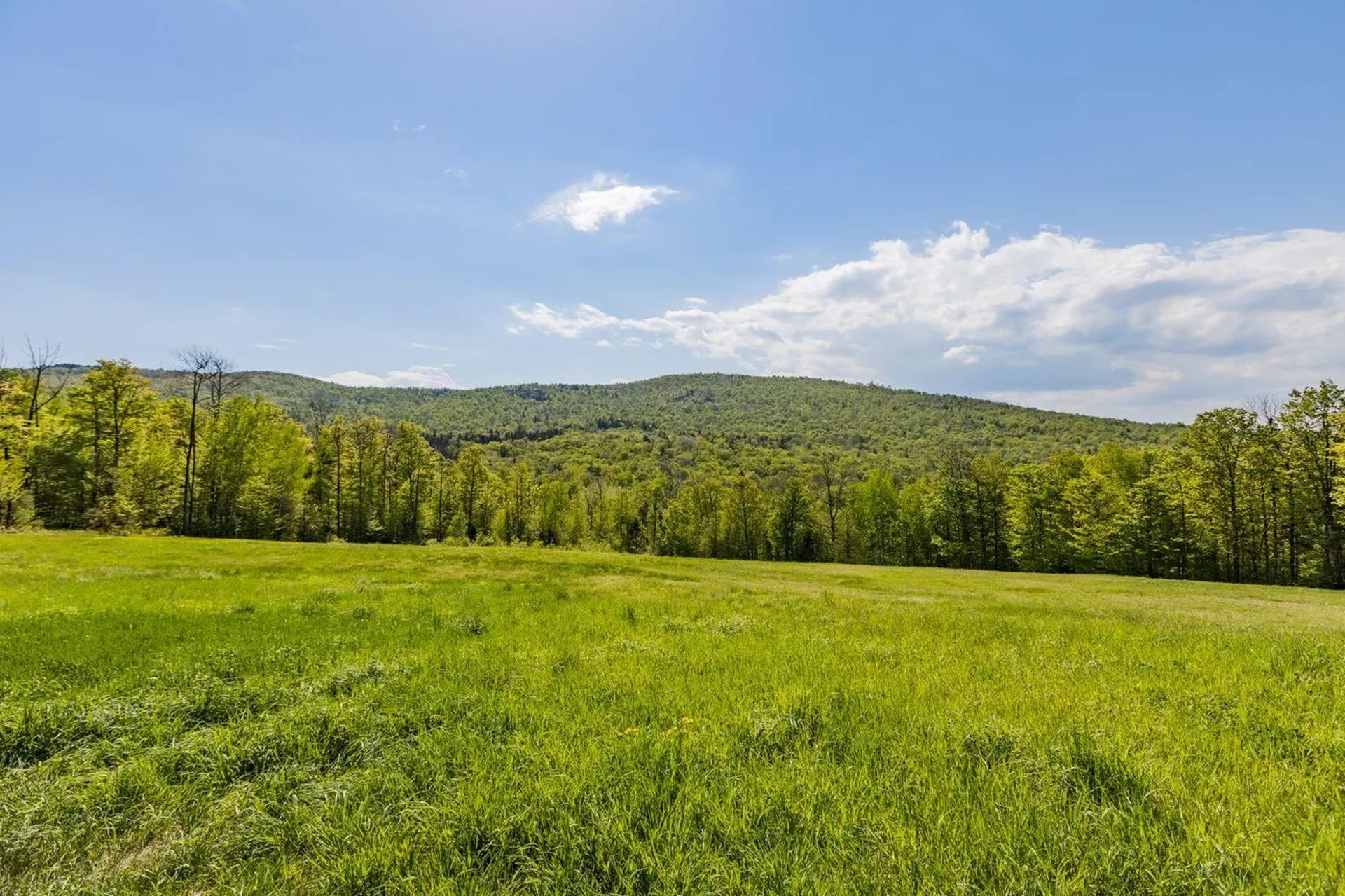 00 Baldy View Woodstock VT 05091