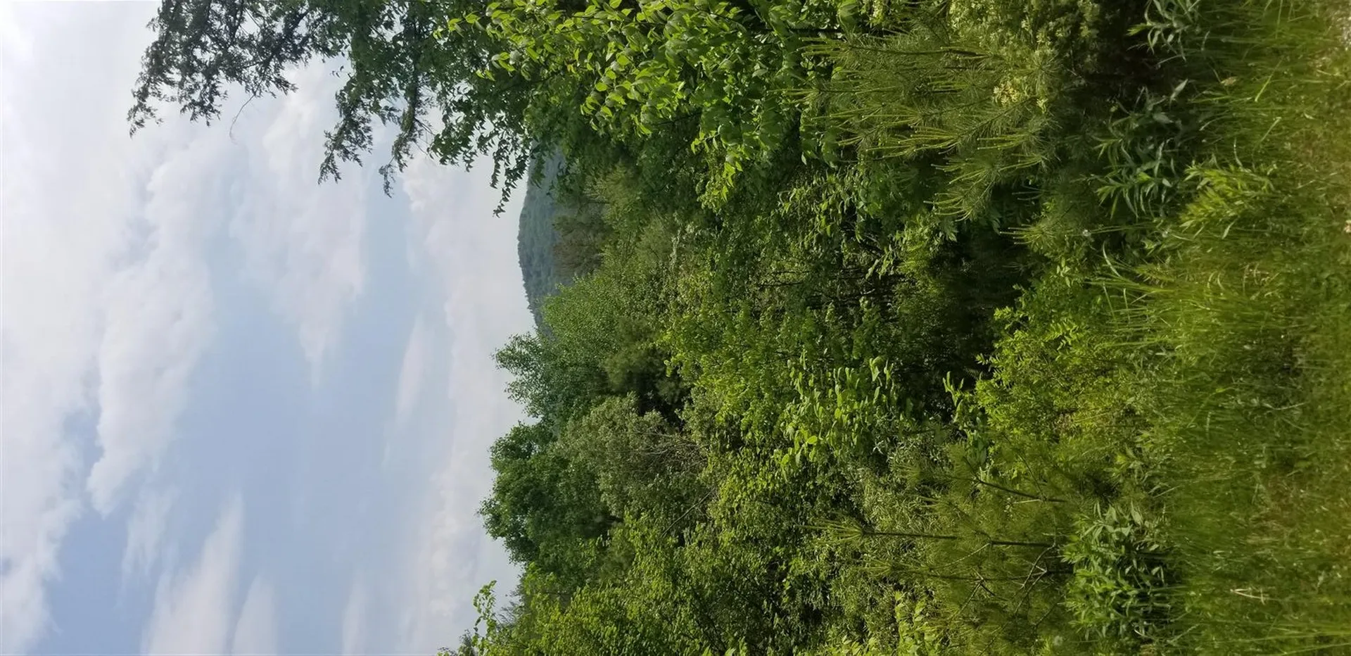 0 Remington Road Chester VT 05143