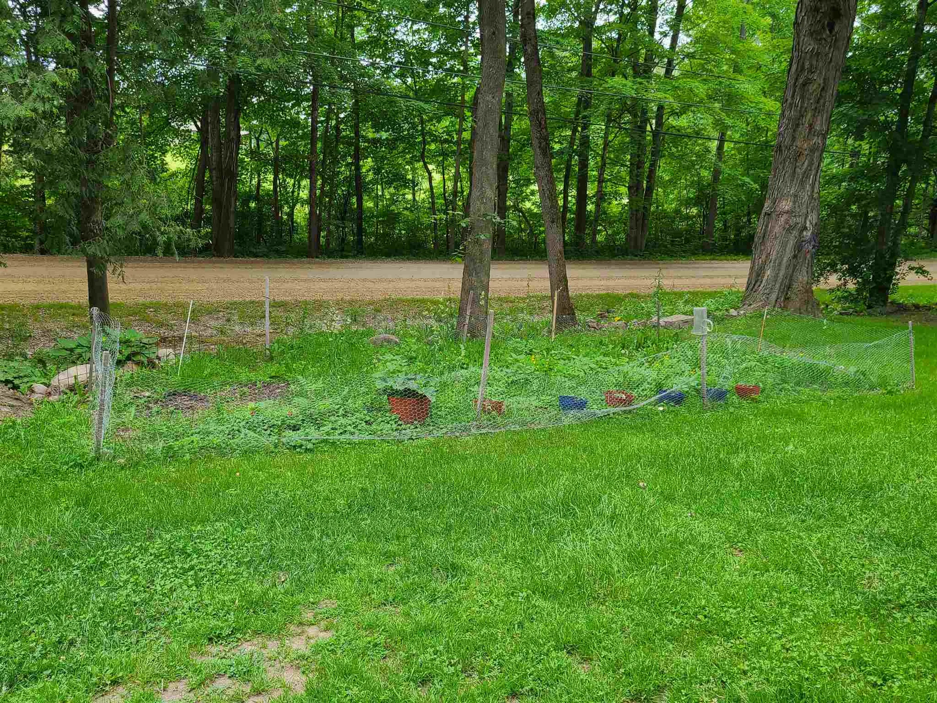 1405 Delorm Road Leicester VT 05733