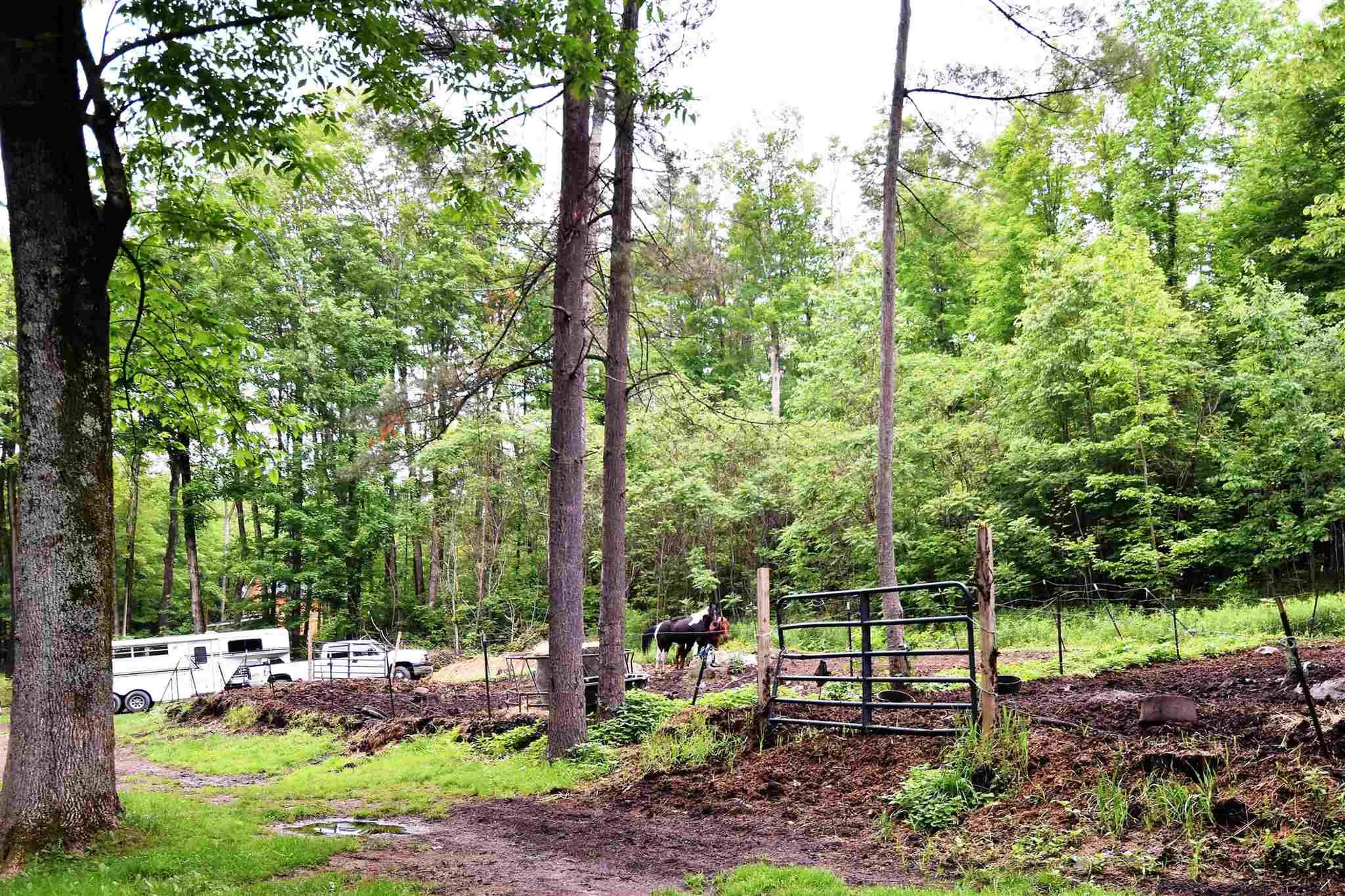 1405 Delorm Road Leicester VT 05733