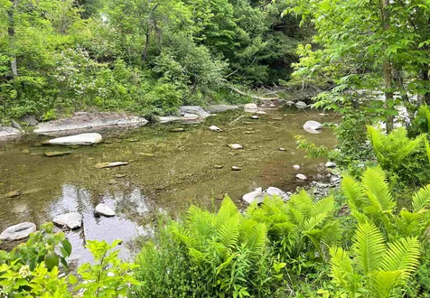50 Goss Hollow Road St. Johnsbury VT 05819
