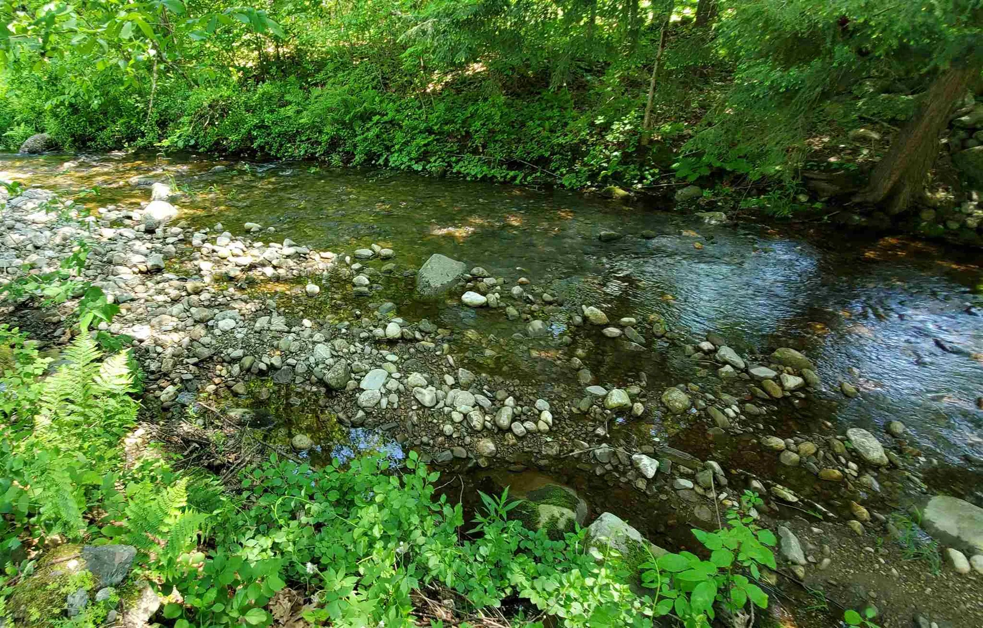 107 Brookline Road Athens VT 05143