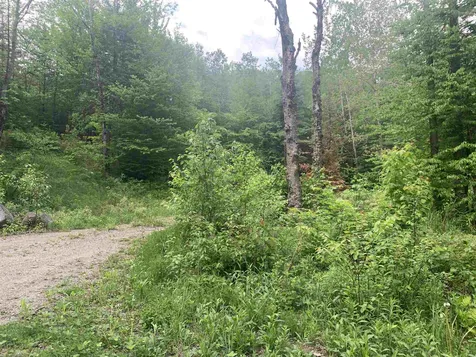 2237 Manns Hill Road Littleton NH 03561