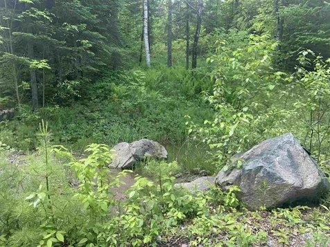 2237 Manns Hill Road Littleton NH 03561