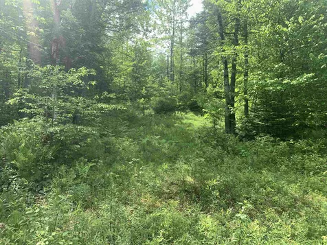 2237 Manns Hill Road Littleton NH 03561