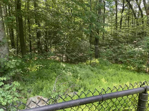 596 Mason Road Milford NH 03055